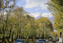 A walk into Valiasr Street