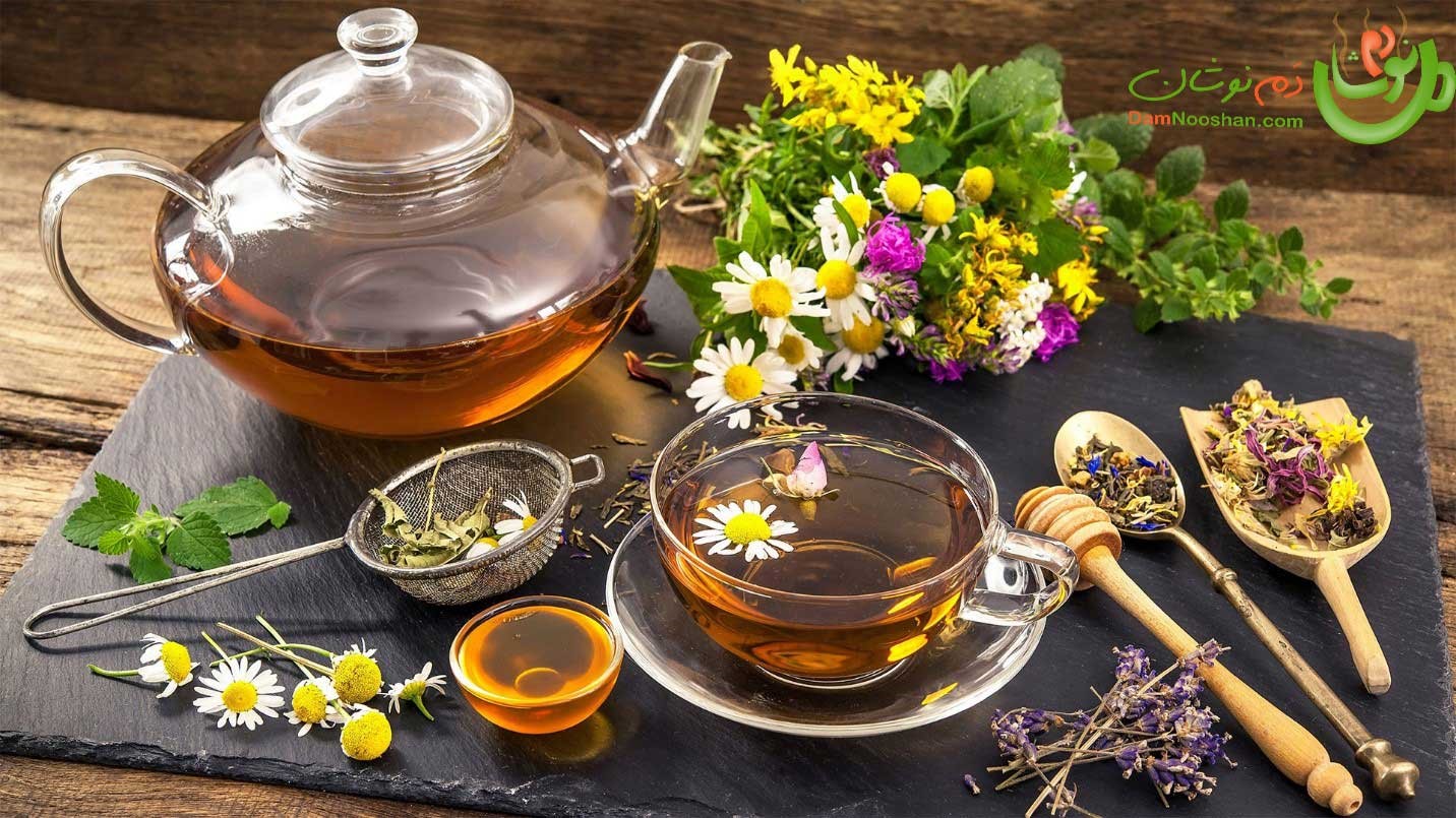 About the Iranian traditional medicine Iran in a promised borderless