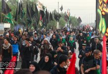 Arbaeen, the participation of Iranians in Iraq